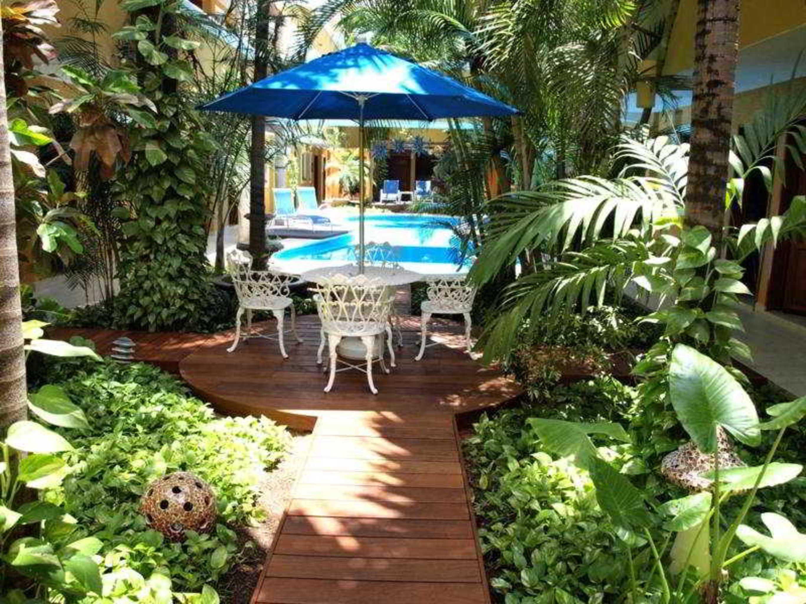 Hotel Las Golondrinas Плая-дель-Кармен Ресторан фото