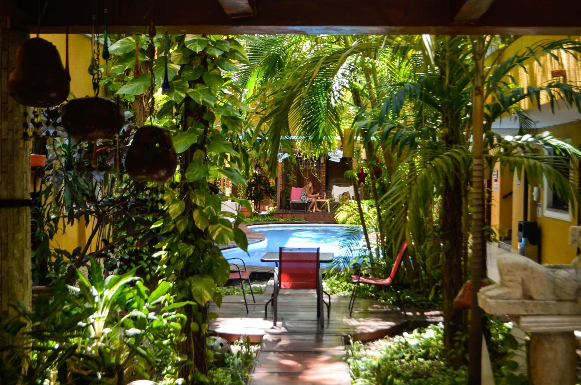 Hotel Las Golondrinas Плая-дель-Кармен Экстерьер фото